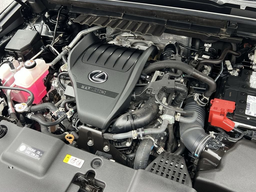 2024 Lexus NX 350 Base